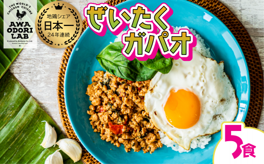 阿波尾鶏 ぜいたくガパオ 5食入 130g×5パック ガパオライス 国産 鶏肉 地鶏 エスニック タイ料理 常温 レトルト徳島県海陽町11000鍋セット・総菜・加工食品総菜