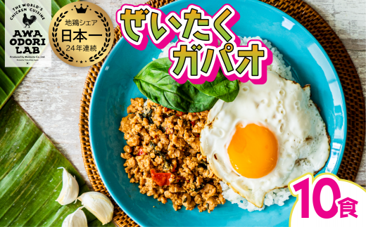 阿波尾鶏 ぜいたくガパオ 10食入 130g×10パック ガパオライス 国産 鶏肉 地鶏 エスニック タイ料理 常温 レトルト徳島県海陽町20000鍋セット・総菜・加工食品総菜