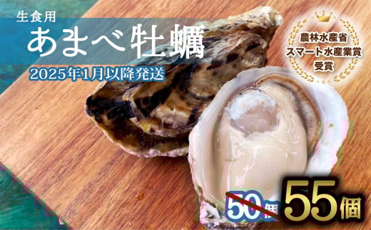 先行予約 あまべ牡蠣 55個 牡蠣 シングルシード 生食用 殻付き かき カキ オイスター 生ガキ 生牡蠣 生がき 生かき ギフト 貝 旨味  【2025年12月発送】徳島県海陽町30000魚介・海産物貝類
