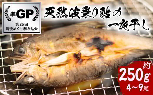 天然波乗り鮎の一夜干し 約250g 4〜9尾 干物 一夜干し 鮎 天然 熟成 あゆ アユ 天然鮎 清流 海部川 川魚 簡単調理 冷凍徳島県海陽町16000魚介・海産物鮮魚