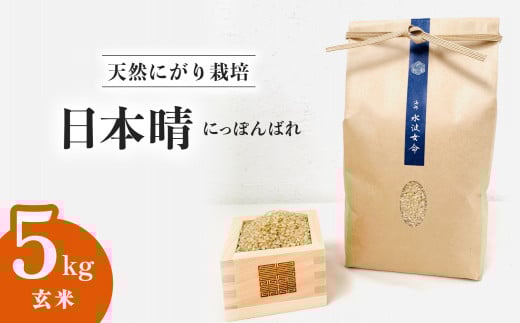 日本晴 玄米 5kg 天然にがり栽培 にっぽんばれ 希少 品種 お寿司 ピラフ チャーハン徳島県海陽町14000米・パン玄米・雑穀米・もち米・餅