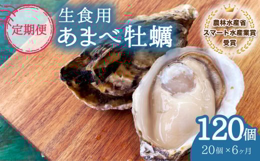 【あまべ牡蠣 20個 6ヶ月連続定期便】あまべ牡蠣 20個 6ヶ月定期便 120個 牡蠣 シングルシード 生食用 殻付き かき カキ オイスター 生ガキ 生牡蠣 生がき 生かき ギフト 貝 旨味徳島県海陽町90