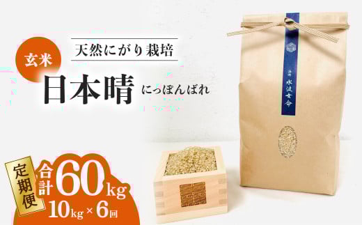 【定期便】 日本晴 玄米 10kg×6回 6ヶ月連続 天然にがり栽培 にっぽんばれ 希少 品種 お寿司 ピラフ チャーハン徳島県海陽町155000米・パン玄米・雑穀米・もち米・餅