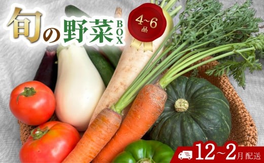 野菜 詰め合わせ セット 旬の野菜BOX 常温配送 【12月〜2月配送】徳島県海陽町5000野菜・きのこその他 野菜