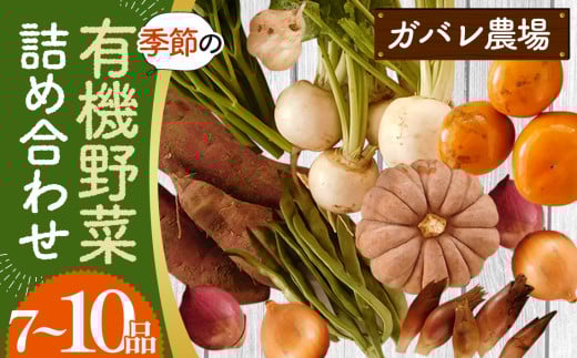 No.058 Ko_̋G߂̗L@؋lߍ킹Zbgʌs12000؁Ê̑ 