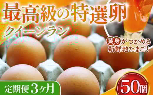 g߂VNn܂NC[ ԋ50s3t No.197ʌs42000Eii{AG{j