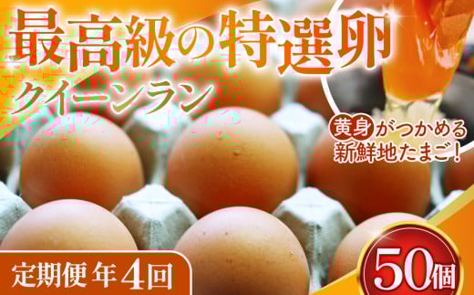 No.213 黄身がつかめる新鮮地たまごクイーンラン 赤玉50個入《定期便年4回》埼玉県鴻巣市56000卵・乳製品卵(鶏、烏骨鶏等)