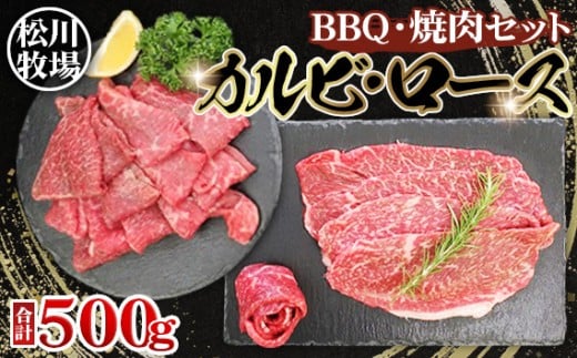 No.031 q̂苍@BBQEēZbg 500g [Xʂ1pbN Jrʂ1pbN͂ qʌs12000