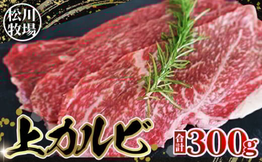 No.033 q̂苍 Jr 300g@Yʌs12000