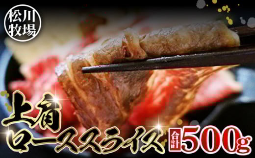 No.131 q̂苍 ㌨[XXCXi500gj@Yʌs20000