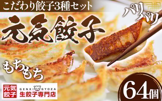 No.010 元気餃子のこだわり餃子3種セット(64個入り/冷凍生餃子) 食べ比べ ギョーザ専門店 中華総菜 点心 もちもち パリパリ埼玉県鴻巣市10000鍋セット・総菜・加工食品総菜