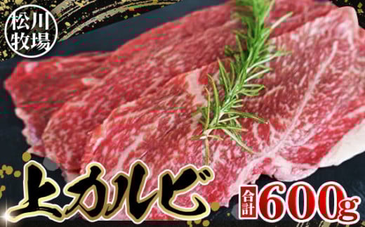 No.139 q̂苍 Jr 600g TJNo tN {VE gTJN JCm~ CTCh畔ʂ͂܂ i܂2ʁjqʌs24000