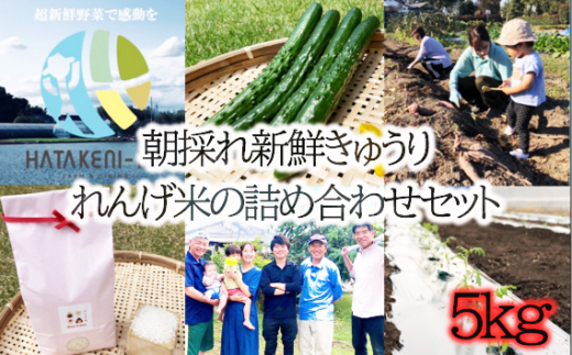 No.520 朝採れ新鮮きゅうりとれんげ米の詰め合わせセット 5kg / ご飯 キヌヒカリ キュウリ 野菜 埼玉県埼玉県鴻巣市14000お茶・飲料果汁・野菜飲料