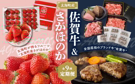 玄海町産さがほのか&佐賀牛定期便【9回】佐賀県玄海町188000果物・フルーツいちご
