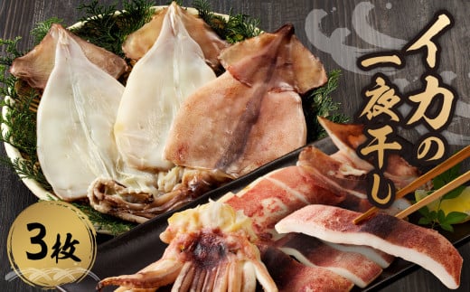 マキ屋 イカの一夜干し(3枚入り)佐賀県玄海町11500魚介・海産物干物