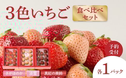 ★予約受付★杉山いちご農園 豪華!3色いちご食べ比べセット 2026年1月〜5月中に順次配送 / さがほのか 白いちご 淡雪 あわゆき 黒いちご 真紅の美鈴 希少 フルーツ 食べ比べ佐賀県玄海町