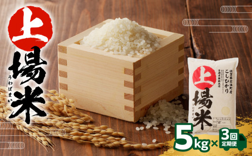 上場米こしひかり定期便(5kg×3ヶ月)/ コシヒカリ こしひかり 米 お米 精米 白米 ご飯 棚田 上場米 数量限定 佐賀県 玄海町 常温 佐賀県玄海町50500米・パン白米