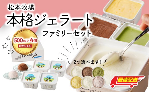 【お好みのフレーバー選べます!】松本牧場 本格ジェラートファミリーセット(500ml×4個 計2L)選べる 全6種類  生乳 アイス 業務用 贅沢 ジェラート デザート スイーツ アイスクリーム