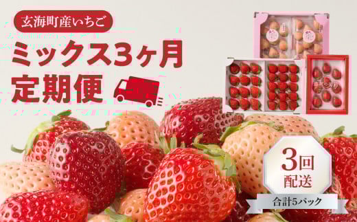 ★予約受付★杉山いちご農園 玄海町産いちご ミックス定期便 / 食べ比べ さがほのか 白いちご 淡雪 黒いちご 真紅の美鈴 苺 いちご 希少 品種 果物 くだもの フルーツ デザート佐賀県玄海