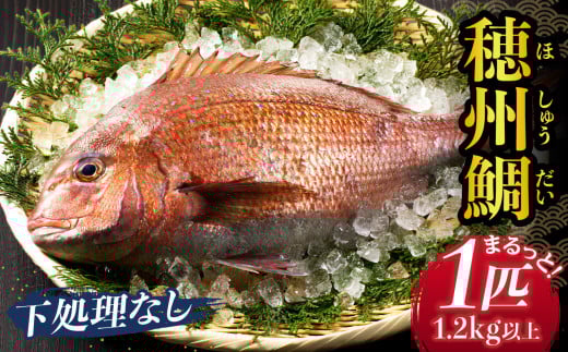 n粐Y BiȂj^ uh Yn ܂邲 1 1C VN N ^ }_C  ^C ₵ ⒃Ђ ߂ hg Ă ϕt   CN {B Y ꌧ C