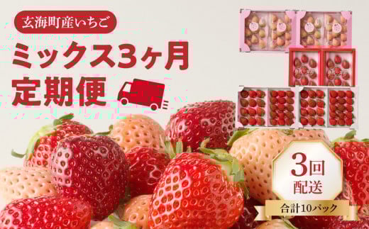 ★予約受付★杉山いちご農園 玄海町産いちご ミックス定期便DX / 食べ比べ さがほのか 白いちご 淡雪 黒いちご 真紅の美鈴 苺 いちご 希少 品種 果物 くだもの フルーツ デザート佐賀県玄