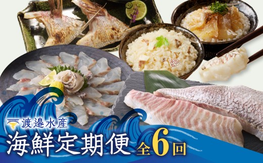 渡邉水産・海鮮定期便(6回)/ 穂州鯛 ブランド鯛 産地直送 真鯛 マダイ 鯛 タイ サク 柵 鯛しゃぶ カマ 松皮造り 鯛茶漬け お茶漬け 切り身 鯛めし 加工品 魚 魚介 海鮮 養殖 国産 定期便