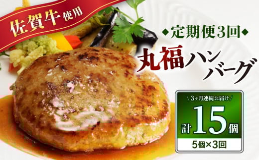 丸福・ハンバーグ5個定期便(3回)佐賀県玄海町24500肉加工肉(ハム・ソーセージ等)