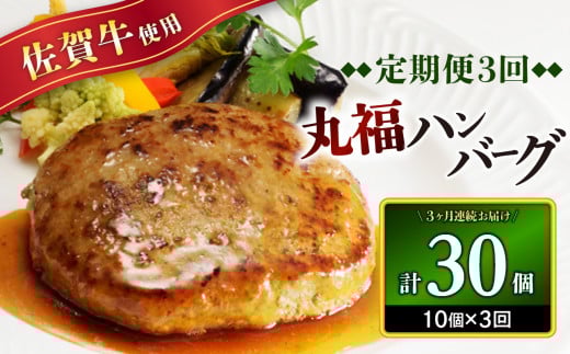 丸福・ハンバーグ10個定期便(3回)佐賀県玄海町39500肉加工肉(ハム・ソーセージ等)
