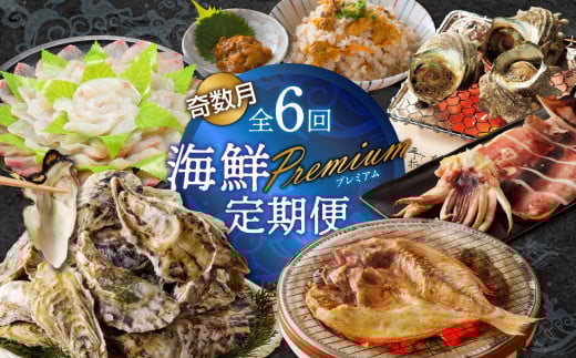 【計6回お届け】海鮮Premium定期便(奇数月)佐賀県玄海町98000魚介・海産物鮮魚