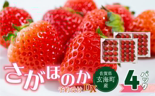 \tyzIׂzꌧCYuق̂DXv2026N1`5܂łɏz ^  ق̂   C`S  ʕ  t[c fU[g { z \