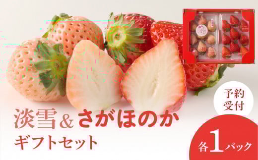 【配送時期が選べる】★予約受付★杉山いちご農園 白いちご「淡雪(あわゆき)」と「さがほのか」ギフトセット 2025年12月中に順次配送 / 食べ比べ 白イチゴ 苺 いちご 希少 品種 果物
