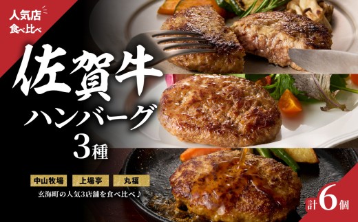ハンバーグ3種詰合せ(ギフトセット)/ 佐賀牛 ハンバーグ 味付き 黒毛和牛 牛肉 弁当 おかず 惣菜 簡単 調理 お手軽 時短 焼くだけ 国産 佐賀県 玄海町佐賀県玄海町13000肉加工肉(ハム・
