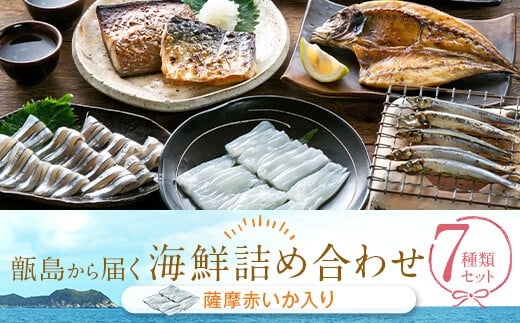 AS-826 甑島の海鮮詰め合わせ(いか)鹿児島県薩摩川内市18000魚介・海産物イカ・タコ・ウニ