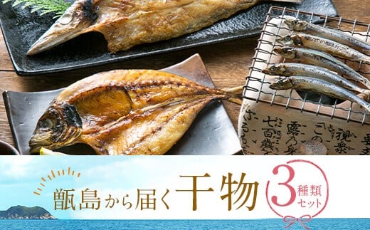 ZS-917 甑島の干物3点セット鹿児島県薩摩川内市9000魚介・海産物干物