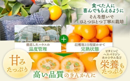 AS-113 きんかん夢工房セット鹿児島県薩摩川内市11000菓子・スイーツプリン・ゼリー