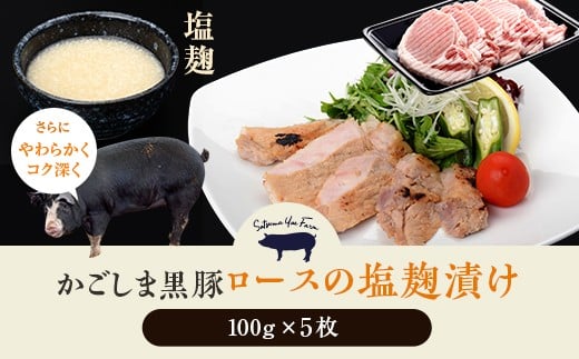 AS-2042 ܍؃[X̉Ђ5Zbg Fdt@[ H[݂Fs12000ؓ