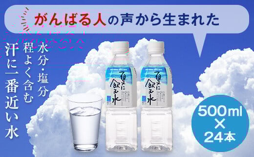 夏に飲む水 500ml ペットボトル 24本 こしき海洋深層水 ミネラルウォーター 海洋深層水 こしき海洋深層水 飲料水 水 硬水 ミネラル ミネラル水 AS-8100鹿児島県薩摩川内市18000お茶・飲料水・ミ