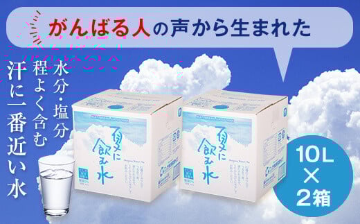 夏に飲む水 10L×2箱 こしき海洋深層水 AS-369鹿児島県薩摩川内市13000お茶・飲料水・ミネラルウォーター