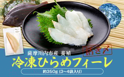 AS-816 ひらめ(冷凍フィーレ)350g鹿児島県薩摩川内市18000魚介・海産物鮮魚