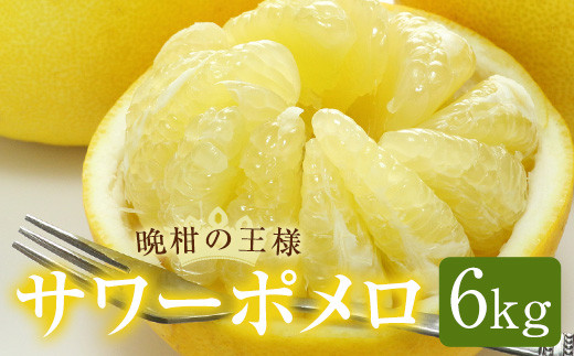 AS-2133 鹿児島県産サワーポメロ 6kg 【季節限定:2月中旬から順次発送予定】鹿児島県薩摩川内市12000果物・フルーツみかん・柑橘類