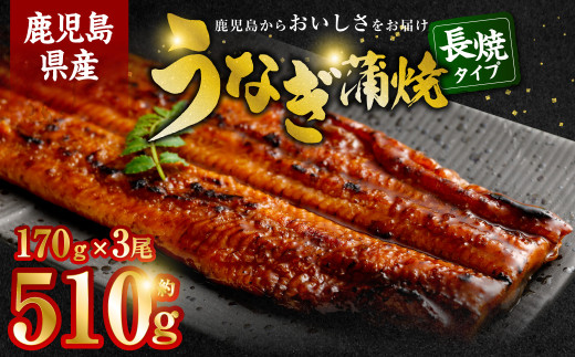 BS-339 鹿児島県産うなぎ蒲焼 約170g×3尾鹿児島県薩摩川内市23000魚介・海産物うなぎ