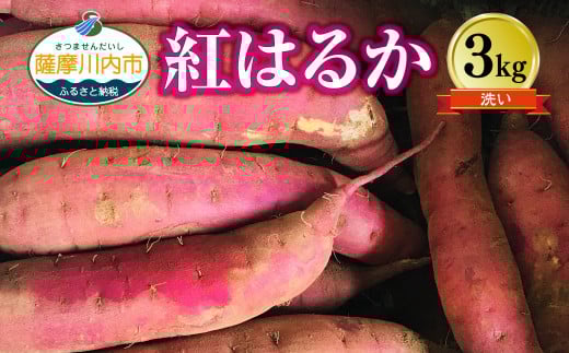 ZS-635 2026Ny_ƒz}}̑zMbIFňĂ܂ig͂邩j3Fs6000؁ÊႪEC