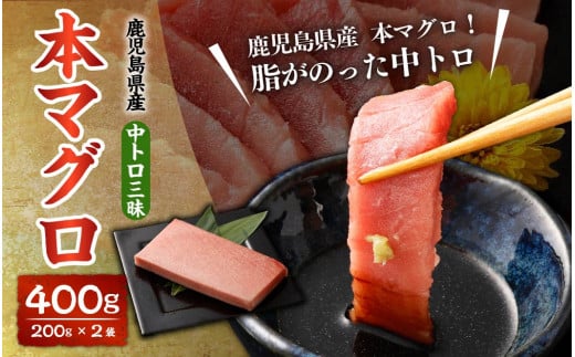 BS-904 鹿児島県産 本マグロ 中トロ三昧 合計400g(200g×2袋)鹿児島県薩摩川内市29000魚介・海産物鮮魚