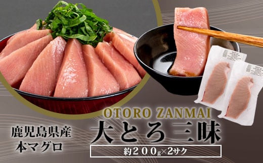 CSR-510 鹿児島県産本マグロ(大トロ三昧) 合計400g(200g×2袋)鹿児島県薩摩川内市30000魚介・海産物鮮魚