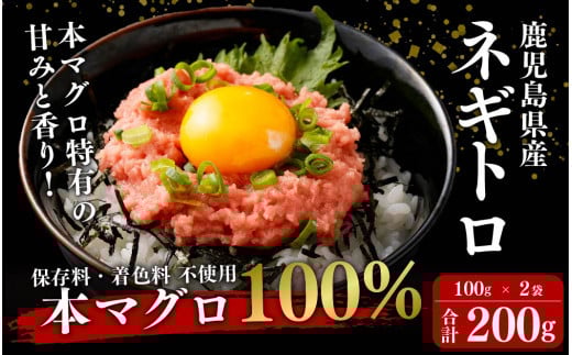 AS-022 鹿児島県産 本マグロ100% ネギトロ 200g鹿児島県薩摩川内市10000魚介・海産物鮮魚