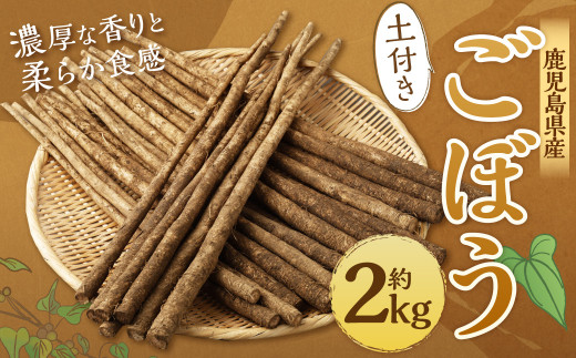ZS-714 鹿児島県産 土付きごぼう 約2kg【2026年1月上旬〜3月下旬発送予定】鹿児島県薩摩川内市7000野菜・きのこ大根・ニンジン・根菜類