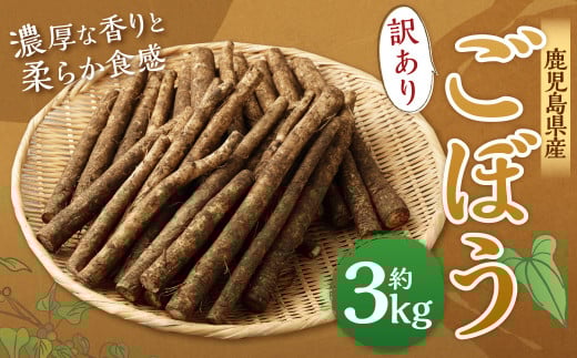 ZS-636 鹿児島県産 土付き ごぼう 約3kg【規格外・訳あり品】【2026年1月上旬〜3月下旬発送予定】鹿児島県薩摩川内市6000野菜・きのこ大根・ニンジン・根菜類