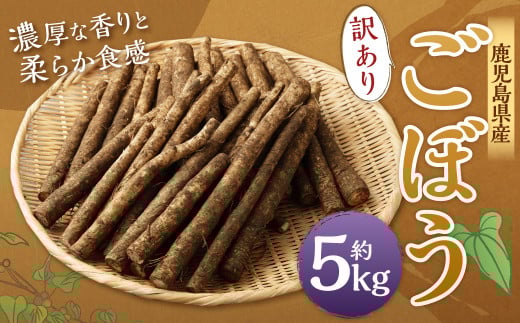 AS-075 鹿児島県産 土付き ごぼう 約5kg【規格外・訳あり品】【2026年1月上旬〜3月下旬発送予定】鹿児島県薩摩川内市10000野菜・きのこ大根・ニンジン・根菜類