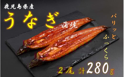 AS-725 鹿児島県産うなぎ蒲焼2尾(280g)冷蔵鹿児島県薩摩川内市17000魚介・海産物うなぎ
