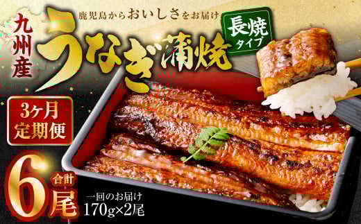 【3カ月定期便】 九州産うなぎ蒲焼 約170g×2尾×3回 鹿児島 うなぎ 蒲焼 個包装 小分け 定期便 国産 DS-605鹿児島県薩摩川内市46000魚介・海産物うなぎ